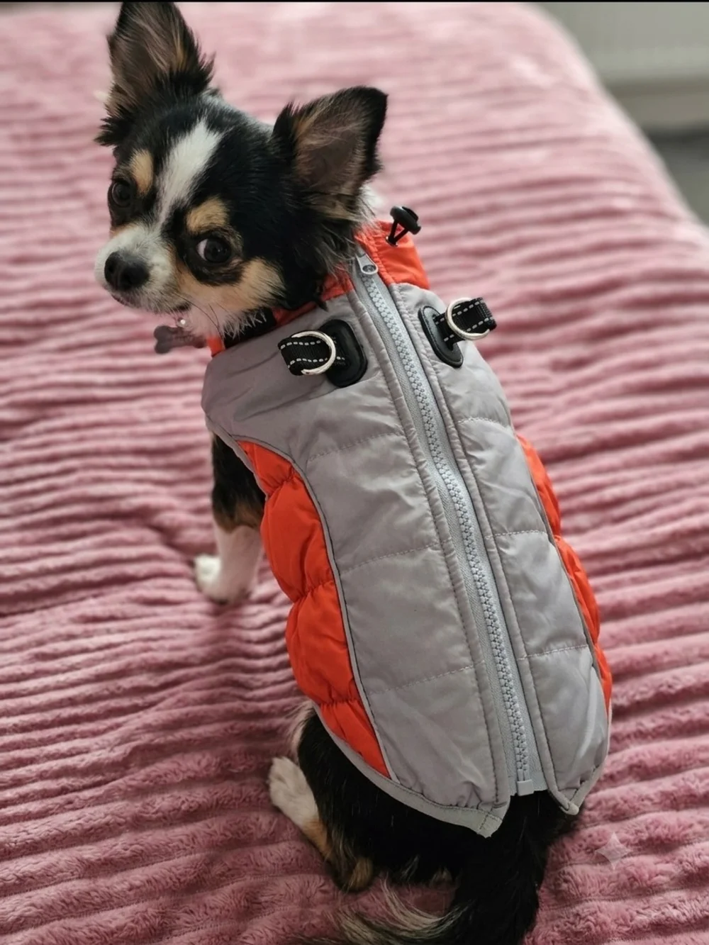 Reflective Gray and Orange Puffer Dog Jacket